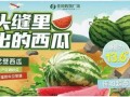 热门大瓜每日大赛,揭秘娱乐圈最新爆料，大赛精彩瞬间回顾